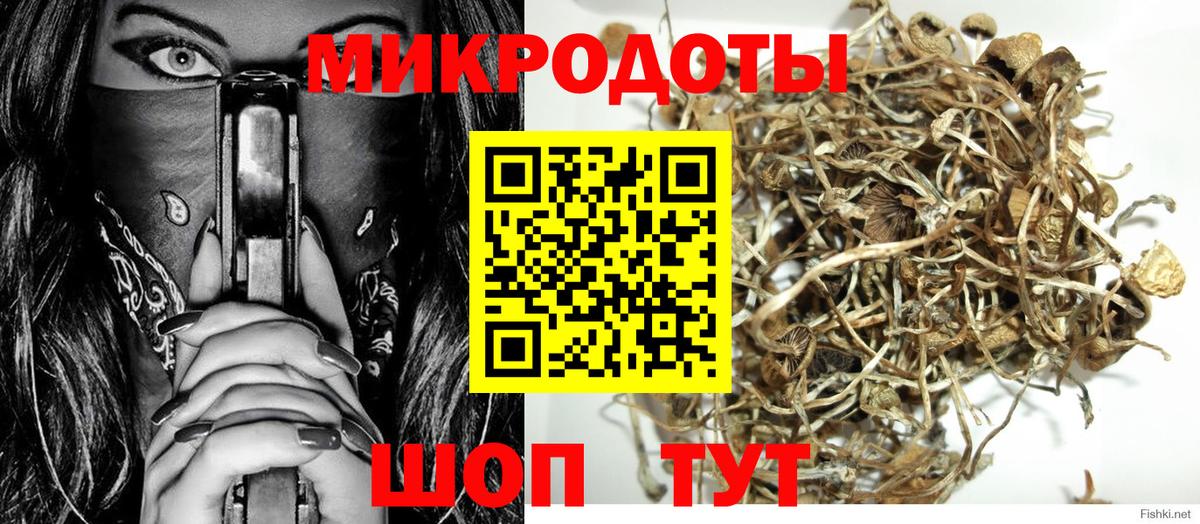 Галлюциногенные грибы мухоморы Сибай