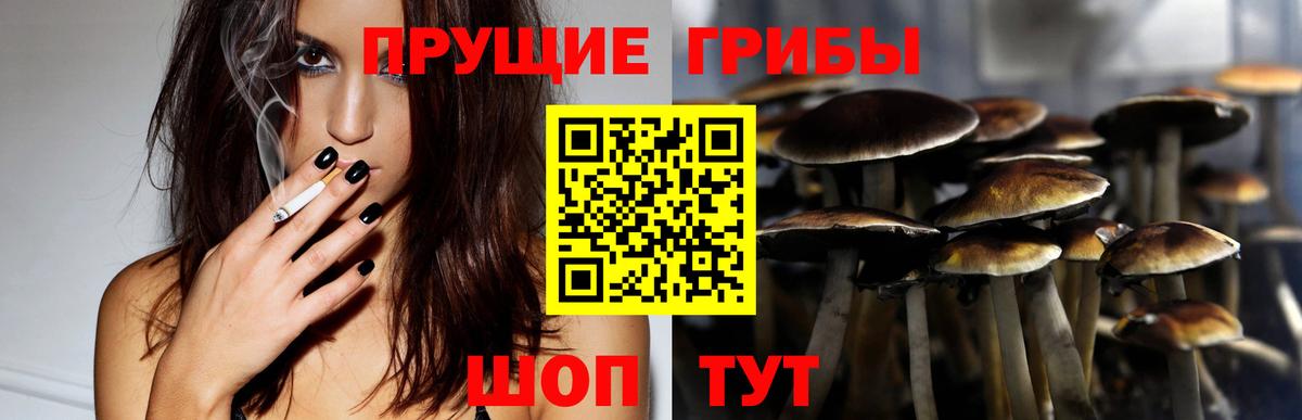 Сибай  наркота  Вход с VPN  Псилоцибиновые грибы Psilocybe 